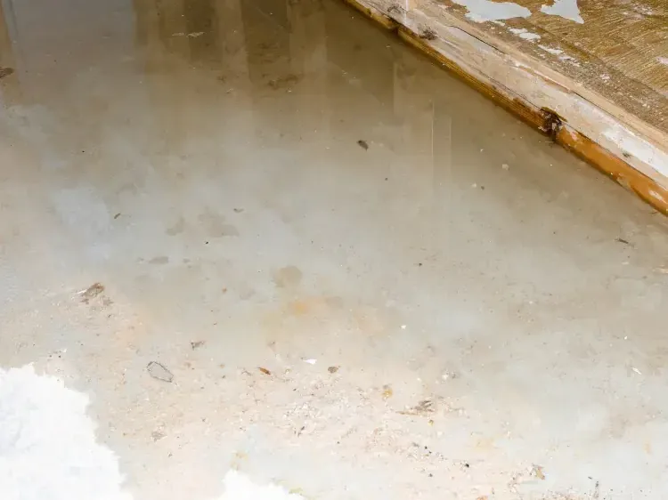 Storm water spread across a concrete floor at a door threshold